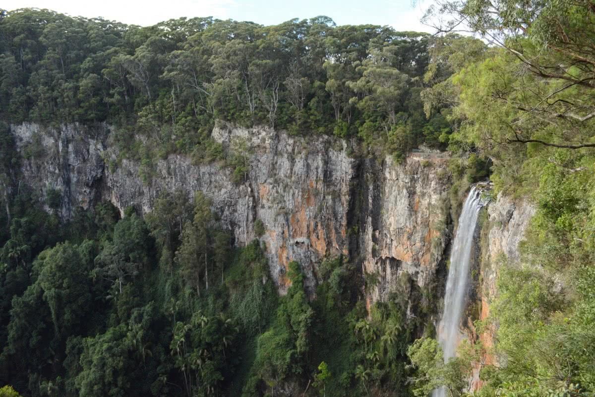 Chase 4 Waterfalls in 1 Day at Springbrook National Park We Are Explorers