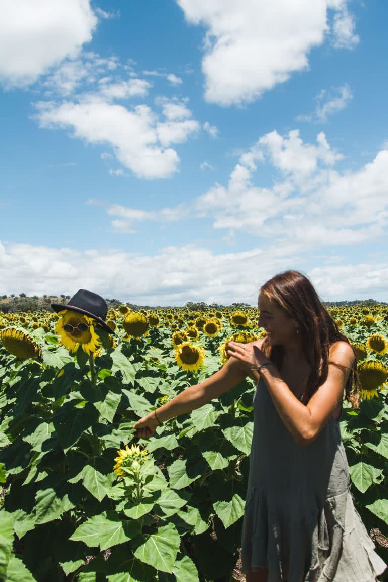 Sunflower Field Frolicking at Liverpool Plains (NSW)