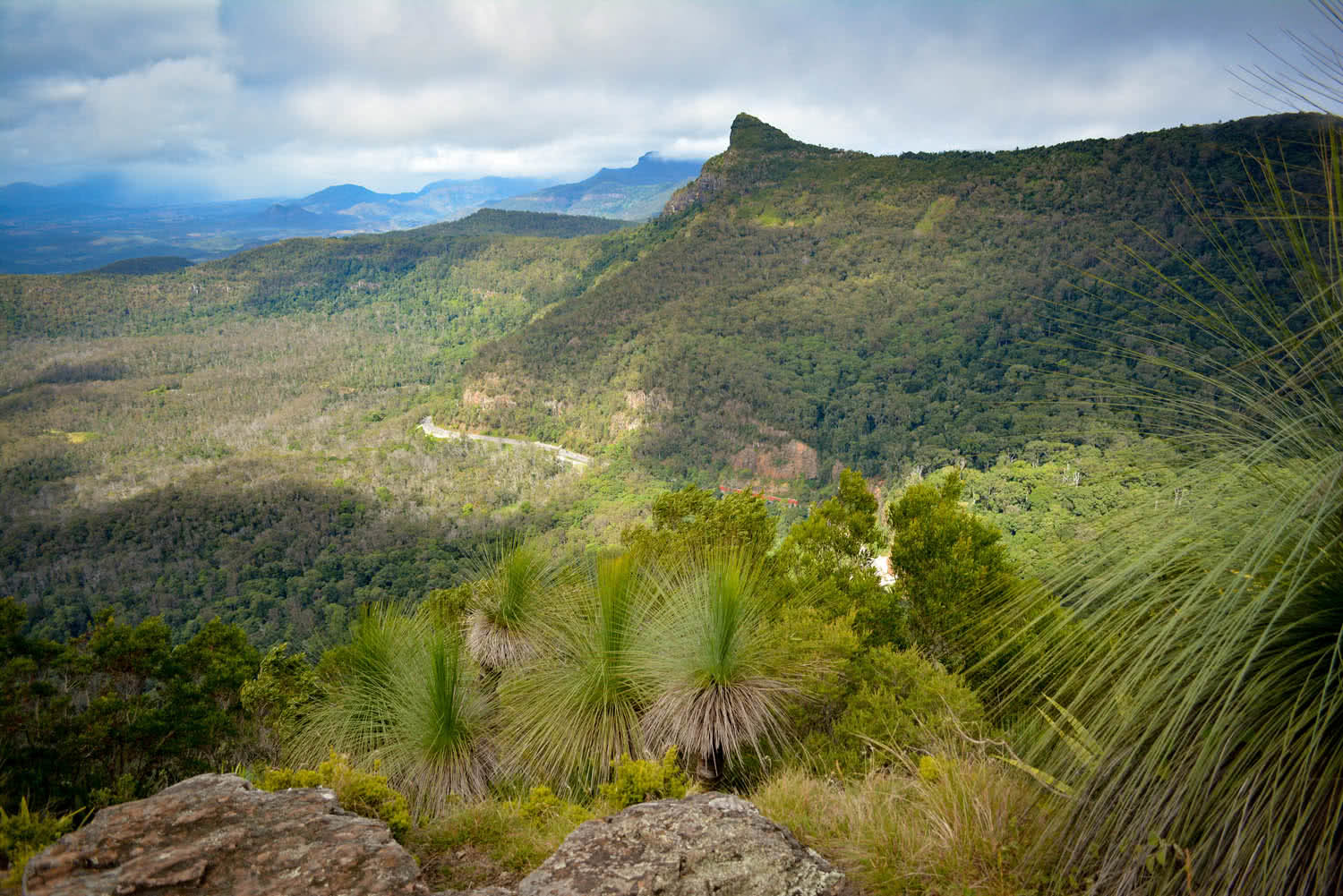 5 Easy Hiking Trails Near Brisbane for Beginners 2023 We Are Explorers