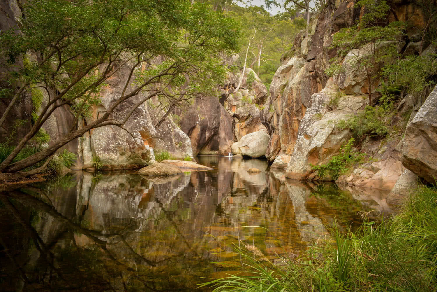 5 Easy Hiking Trails Near Brisbane for Beginners 2023 We Are Explorers