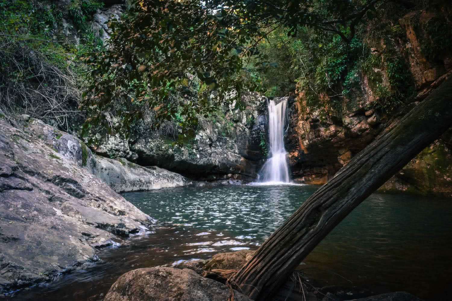 7 Best Hikes Near Brisbane with Waterfalls 2023 We Are Explorers