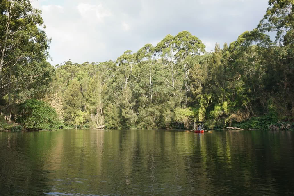 Kayak in Lane Cove National Park to Escape The CBD We Are Explorers