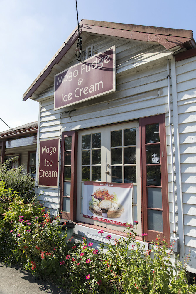 Mogo Fudge and Ice Cream We Are Explorers