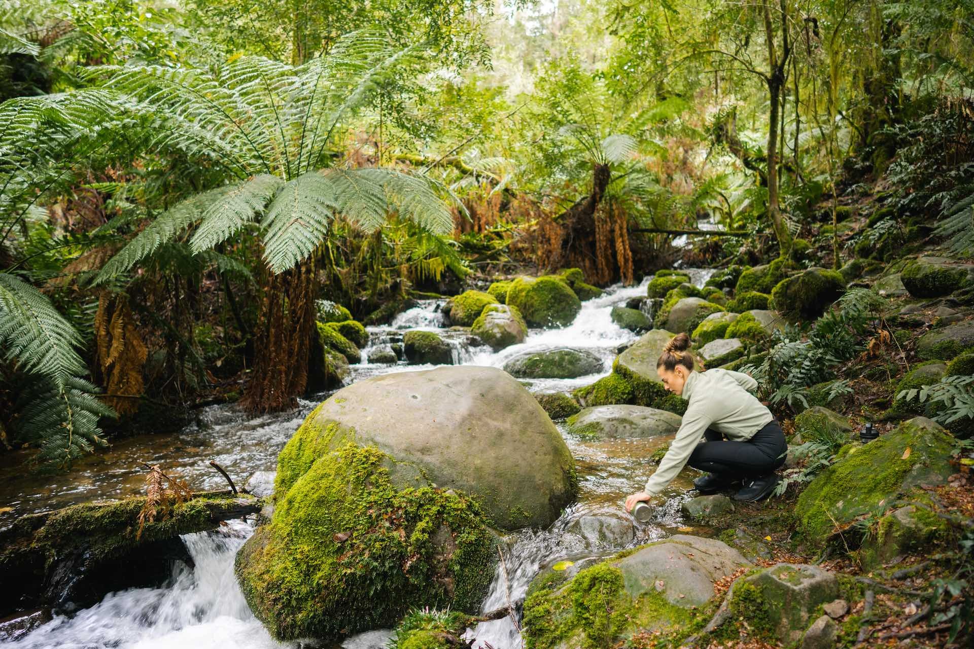 Yarra Valley & Dandenong Ranges Outdoor Activities & Adventures